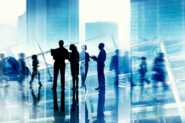 Board Director for Digital Governance