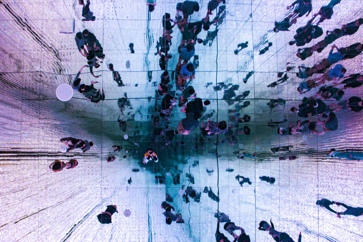 Digital Startup of the Year  